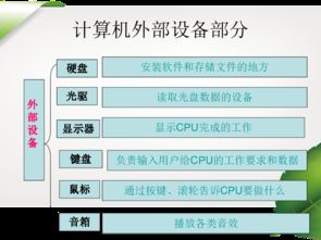 第2課 信息新技術 計算機硬件、軟件及其協(xié)同開發(fā)